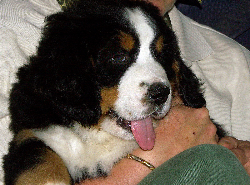 Anton PICT1322 (24)_BildgrÃ¶ÃŸe Ã¤ndern.jpg